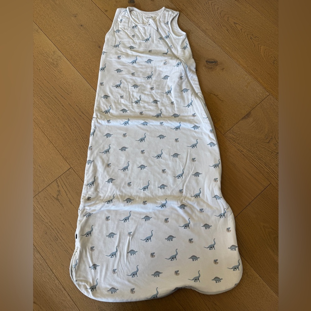 Kyte BABY Blue Dinosaur Print sleep sack